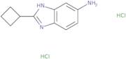 2-Cyclobutyl-1H-1,3-benzodiazol-5-amine dihydrochloride