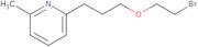 2-[3-(2-Bromoethoxy)propyl]-6-methylpyridine