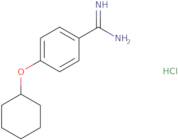 4-(Cyclohexyloxy)benzene-1-carboximidamide hydrochloride