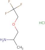 1-(2,2,2-Trifluoroethoxy)propan-2-amine hydrochloride