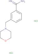 3-(Morpholin-4-ylmethyl)benzene-1-carboximidamide dihydrochloride