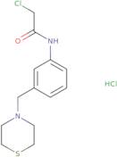 2-Chloro-N-[3-(thiomorpholin-4-ylmethyl)phenyl]acetamide hydrochloride