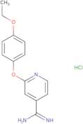 2-(4-Ethoxyphenoxy)pyridine-4-carboximidamide hydrochloride