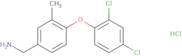 [4-(2,4-Dichlorophenoxy)-3-methylphenyl]methanamine hydrochloride