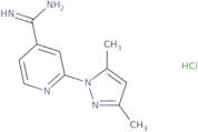 2-(3,5-Dimethyl-1H-pyrazol-1-yl)pyridine-4-carboximidamide hydrochloride