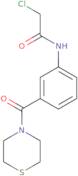 2-Chloro-N-[3-(thiomorpholine-4-carbonyl)phenyl]acetamide