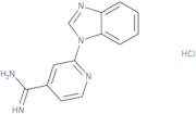 2-(1H-1,3-Benzodiazol-1-yl)pyridine-4-carboximidamide hydrochloride