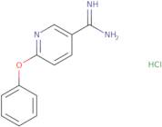 6-Phenoxypyridine-3-carboximidamide hydrochloride