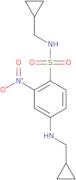 N-(Cyclopropylmethyl)-4-[(cyclopropylmethyl)amino]-2-nitrobenzene-1-sulfonamide