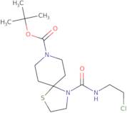 tert-Butyl 4-{[(2-chloroethyl)amino]carbonyl}-1-thia-4,8-diazaspiro[4.5]decane-8-carboxylate