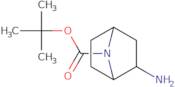 endo-7-boc-7-azabicyclo[2.2.1]heptan-2-yl amine racemate