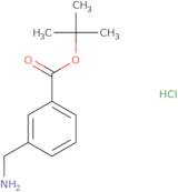 tert-Butyl 3-(aminomethyl)benzoate hydrochloride