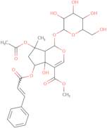 6-o-Trans-cinnamoylphlorigidoside B