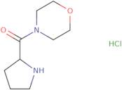 Morpholino(pyrrolidin-2-yl)methanone hydrochloride