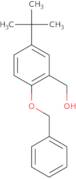 [2-(benzyloxy)-5-tert-butylphenyl]methanol