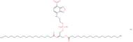 Octadecanoic acid 1,1′-[(1R)-1-[[[hydroxy[2-[(7-nitro-2,1,3-benzoxadiazol-4-yl)amino]ethoxy]phosph…