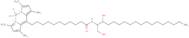 c11 Topfluor dihydroceramide