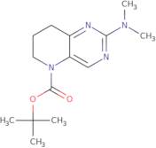 5-Boc-2-(dimethylamino)-5,6,7,8-tetrahydropyrido[3,2-d]pyrimidine