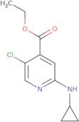 Ethyl 5-chloro-2-(cyclopropylamino)pyridine-4-carboxylate