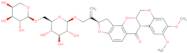 Amorphin