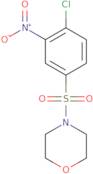 4-(4-Chloro-3-nitro-benzenesulfonyl)-morpholine