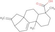 Grandiflorenic acid