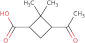 (1R,3S)-3-Acetyl-2,2-dimethylcyclobutane-1-carboxylic acid