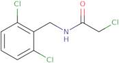 2-Chloro-N-[(2,6-dichlorophenyl)methyl]acetamide