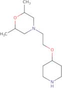 2,6-Dimethyl-4-[2-(piperidin-4-yloxy)ethyl]morpholine