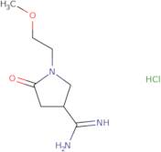 1-(2-Methoxyethyl)-2-oxopyrrolidine-4-carboxamidine hydrochloride