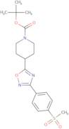 3-[4-(Methylsulfonyl)phenyl]-5-(1-Boc-4-piperidyl)-1,2,4-oxadiazole