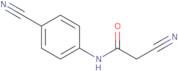 2-Cyano-N-(4-cyanophenyl)acetamide