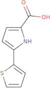 5-Thiophen-2-yl-1H-pyrrole-2-carboxylic acid