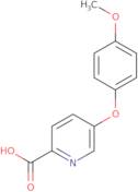 5-(4-Methoxyphenoxy)pyridine-2-carboxylic acid