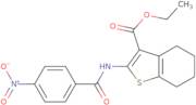 Ethyl 2-((4-nitrophenyl)carbonylamino)-4,5,6,7-tetrahydrobenzo[b]thiophene-3-carboxylate