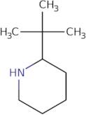 2-tert-Butylpiperidine