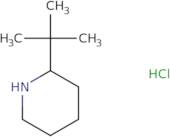 2-tert-Butylpiperidine hydrochloride