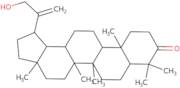 30-Hydroxylup-20(29)-en-3-one