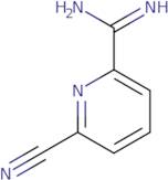 6-Cyanopyridine-2-carboximidamide