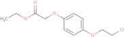 Ethyl 2-[4-(2-chloroethoxy)phenoxy]acetate