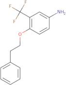 4-(Phenethyloxy)-3-(trifluoromethyl)aniline