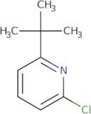 2-tert-Butyl-6-chloropyridine