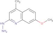 2-Hydrazinyl-7-methoxy-4-methylquinoline