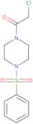 1-[4-(Benzenesulfonyl)piperazin-1-yl]-2-chloroethan-1-one
