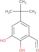 5-tert-Butyl-2,3-dihydroxybenzaldehyde