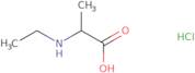 2-(Ethylamino)propanoic acid hydrochloride