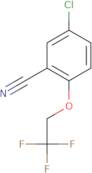 5-Chloro-2-(2,2,2-trifluoroethoxy)benzonitrile