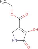 Ethyl 4-hydroxy-5-oxo-2,5-dihydro-1H-pyrrole-3-carboxylate