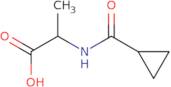 2-(Cyclopropylformamido)propanoic acid