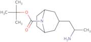 tert-Butyl 3-(2-aminopropyl)-8-azabicyclo[3.2.1]octane-8-carboxylate